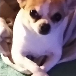 Meet your Posher, Jimmy